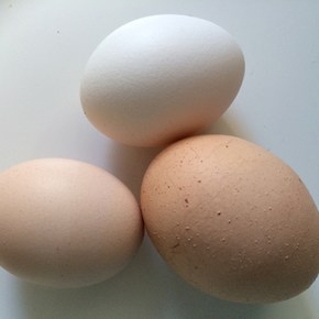 Georgie is back&nbsp;online