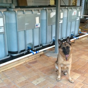 Waiting for the&nbsp;rain