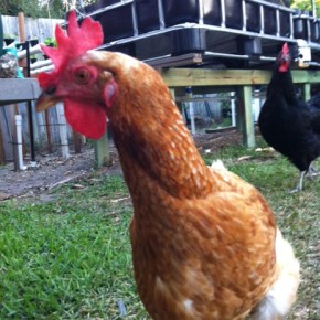 This surely is NOT&nbsp;autumn