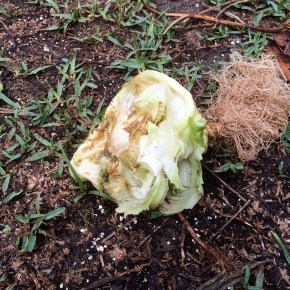 It’s often about timing&nbsp;…