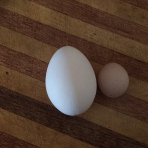 A review of the tenancy&nbsp;agreement