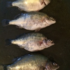 And the sad news&nbsp;is