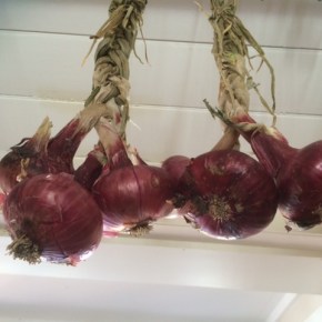 How about them onions, then&nbsp;hey?