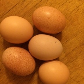 But, soft! What light through yonder window&nbsp;breaks?