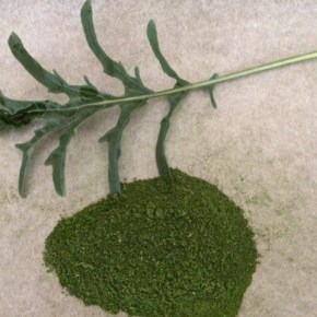 All hail the&nbsp;kale